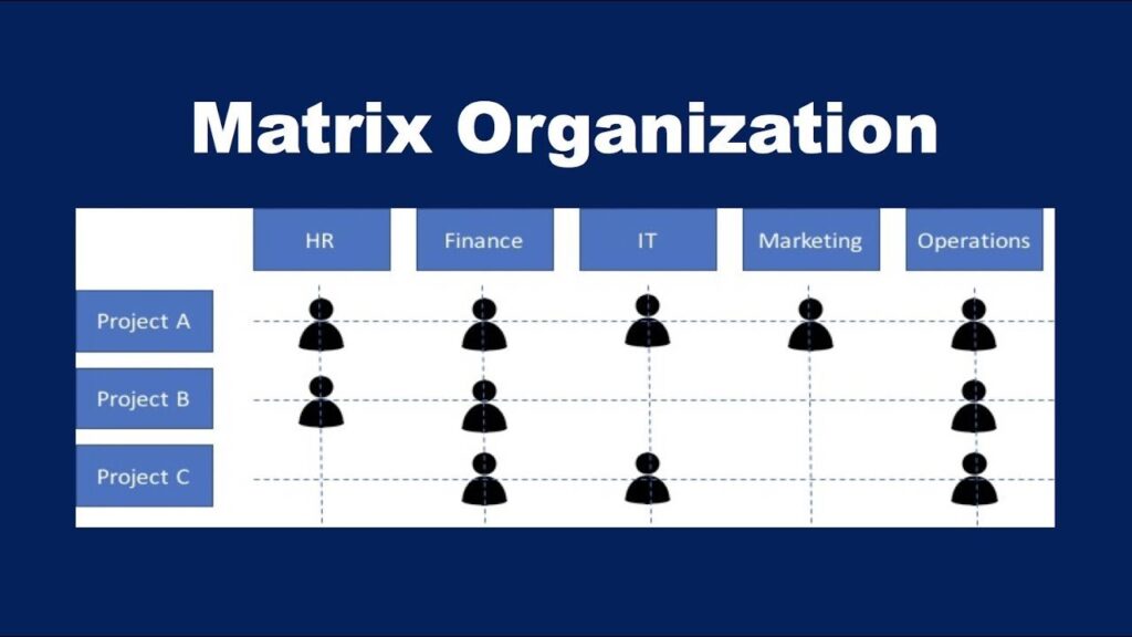 How does matrix organization work 1736792244
