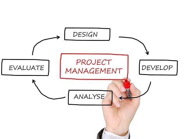 a project manager is defined as the 1737233572