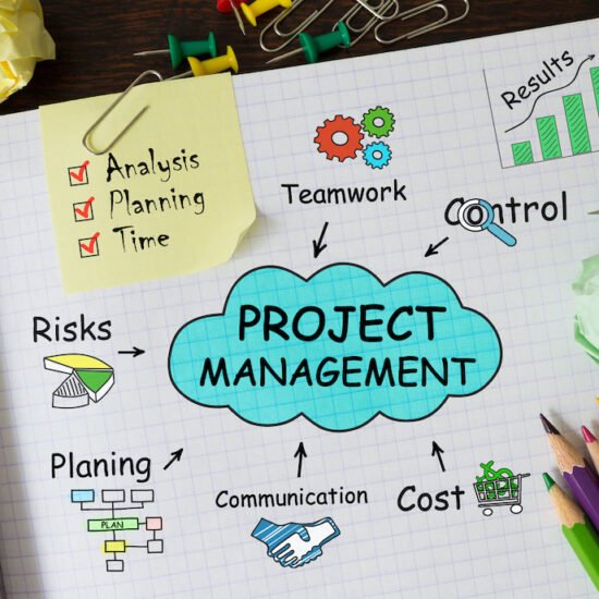 does your team use project management software 1737234083