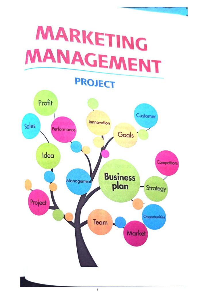how to make marketing management project 1737233067