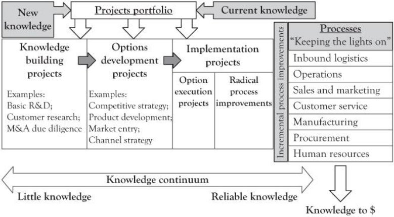 what is a pmi project manager 1737233226