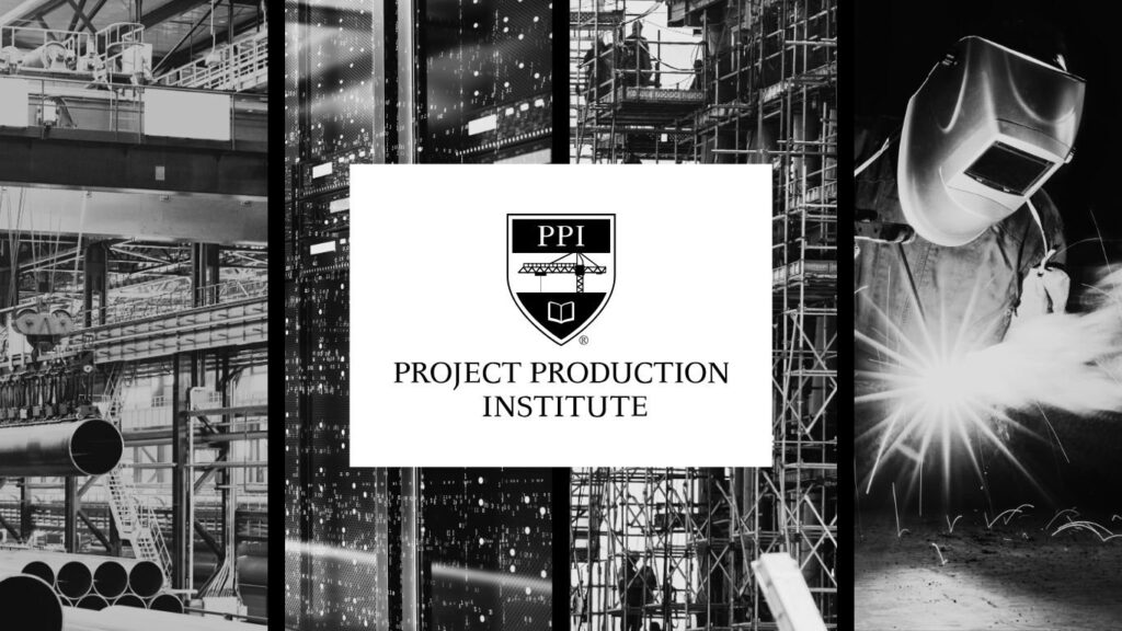what is ppi in project management 1737232697